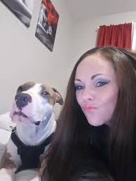 Help find lost dog Diesel in Columbia area