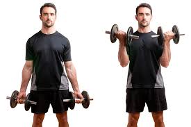 Bicep And Tricep Workouts For The Home And Gym