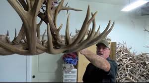 How to build your own deer antler chandelier | hunker. Montana Made Antler Chandeliers And Lighting Company Youtube