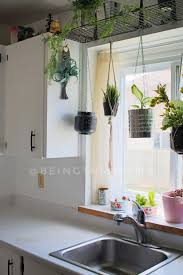 Easy Diy Plant Shelf In 2020 Plant Shelves Indoor Plant Shelves Hanging Plants Indoor
