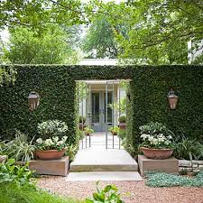 Heat Tolerant Austin Garden Courtyard Design Patio Garden Backyard Landscaping