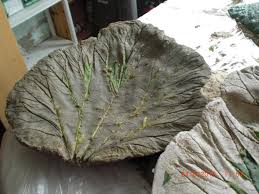 Der bauplan sollte so genau wie möglich erklären, wie man ein vogelhaus selbst bauen kann. Vogelfutterhaus Selber Bauen Schritt Fur Schritt Anleitung