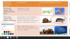 Check spelling or type a new query. 2 2 Sains Tahun 5 Proses Hidup Haiwan Ulang Kaji Youtube