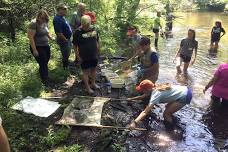 FREE Hoosier Riverwatch volunteer stream monitoring training
