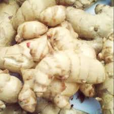 Antibakteri dan antijamur kunyit putih dipercaya dapat mengurangi jumlah mikroba di mulut. Jual Kunyit Putih Segar 1 Kg Kunir Putih Temu Putih Kab Pacitan Ghalibby Shop Tokopedia