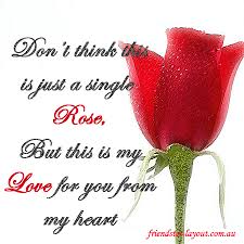 Find this pin and more on animated art by judy swartz. This Is My Love For You Rose Love Quotes Rose Quotes Single Red Rose