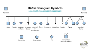 Use the free genogram template (embedded above) if you want to create a genogram that only focuses on one person's direct lineage. How To Make A Genogram Oliveme Counseling With Joanne Kim Lmft San Jose Ca