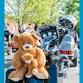 Great Teddy Bear Run 2026