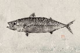 Mackerel Saba Gyotaku Print Traditional Japanese Fish Art By Dowaito Fish Art Gyotaku Japanese Fish