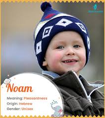 Leslie Name Meaning, Origin, History And Popularity