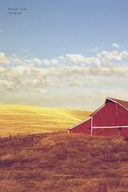 10 best life in pullman wa images pullman palouse places pinterest
