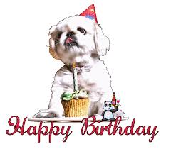 Search, discover and share your favorite buon compleanno gifs. Buon Compleanno Amica Mia Cerca Con Google Con Immagini Buon Compleanno Buon Compleanno Amico Compleanno