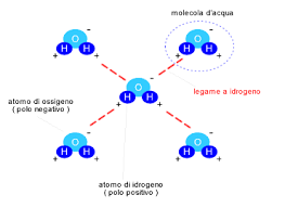 Legami A Idrogeno Okpedia