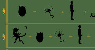 Evolution Of The Alien Infographic From Prometheus To Alien