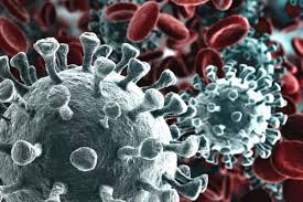 It was first detected in peru in december 2020. Lambda Variant Of Coronavirus Not Reported In India So Far