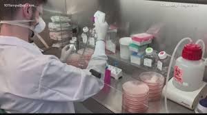 Sarasota Hospital Researches Regeneron Antibody Cocktail Firstcoastnews Com