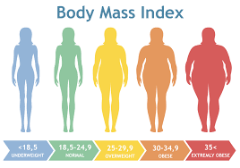 Body Mass Index Vector Illustration From Underweight To