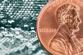 Image result for bed bugs eggs