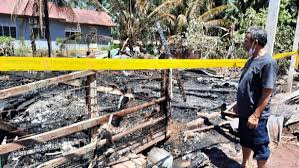 בואו לראות את כל המודעות מכל האזכורים ברשת. Kandang Kambing Fungsi Penting Kandang Kambing Kami Spesialis Pembuat Kandang Kambing Portable Kandang Yg Bs Dibongkar Pasang Menerima Pesanan Menyediakan Kandang Kambing Dg Berbagai Macam Ukuran Yg Diinginkan Untuk Bicroded