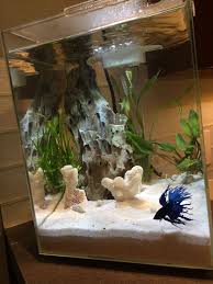 Tetra led cube shaped 3 gallon aquarium with pedestal base. 48 Betta Fish Tank Setup Ideas Betta Fish Tank Betta Fish Pet Fish