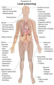 Image result for Lead Poisoning
