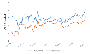 Wheat Basis Levels Alberta Ca