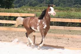 R&eacute;sultat de recherche d'images pour 