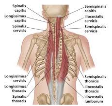 Pin On Pain Management