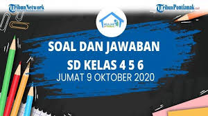 Soal jaring jaring balok kelas 5 sd. Gambarlah Sebuah Jaring Jaring Balok Yang Berukuran Panjang 8 Cm Lebar 6 Cm Dan Tinggi 4 Cm Tribun Pontianak
