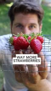 Jamillah Smith (jamme863)