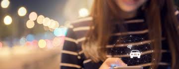 Bayside Peninsula Lgas – South Safe