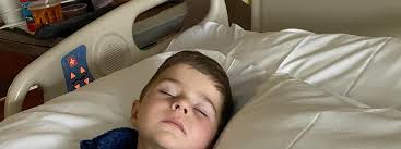 Garrapata de la 'estrella solitaria' que causa alergia a la carne roja se  propaga en EEUU: está presente en estos estados