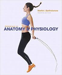 Essentials Of Anatomy Physiology 7th Edition Pdf Ebook In 2020 Anatomy And Physiology Physiology Book Essentials