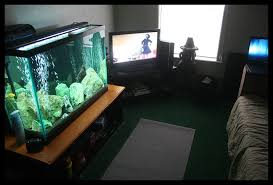 The important thing is a nice even level service on something strong enough to take the weight, which could well be a chest of drawers in a bedroom, but you have to check it will take the weight you want. Your Bedroom Aquarium General Discussion Nano Reef Community