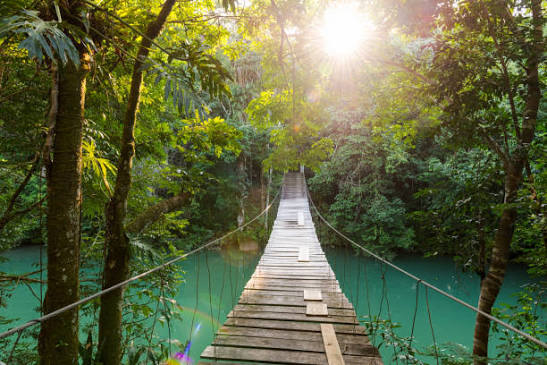 121,700+ Tropical Escape Stock Photos, Pictures & Royalty-Free Images - iStock | Paradise, Beach, Tropical drink