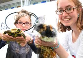 People and their pets inspired Norwich exhibition and stage show