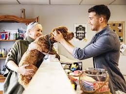Search and chat for free with our petsitters near you now. Jobs In The Pet Industry Are Raining Cats And Dogs Monster Com