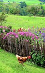 Beautiful Quenalbertini Country Life Beaux Jardins Idees Jardin Parc Et Jardin
