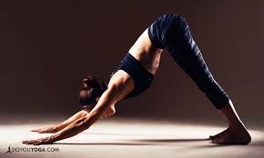 Check out our yoga therapy section to learn which yogic practices have been shown to have healing qualities for common complaints. Breaking Down Standing Head To Knee Pose Doyou