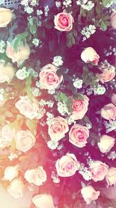47a8c20b0b8d56cc84ef49ea1a391d21 Jpg 480 854 Tumblr Iphone Wallpaper Iphone Wallpaper Flower Wallpaper