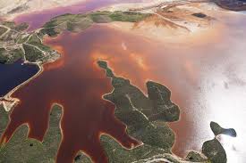 Abelardo Arcos (abearcos)