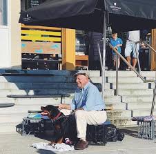 Pups are 6weeks old with dr harry cooper at. Dr Harry Cooper From Better Homes And Gardens Picture Of Barefoot On The Beach Cafe Cronulla Tripadvisor