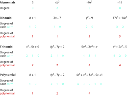 Identifying Characteristics Of Polynomials Prealgebra