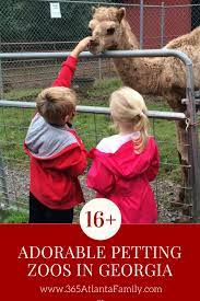 Things to do near animal farm petting zoo. 16 Adorable Petting Zoos In Georgia A Few May Surprise You Zoo Animals Mobile Petting Zoo Zoo Near Me