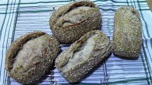 Pan De Avena Masa Madre En Molde Y Batar Con Copos De Avena Panecillos De Avena Copos De Avena Masa Madre