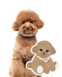 A @ralphlauren inspired cozy Christmas evening for Asher and Ellie @asher.elliegirl  🧣🎄 📨 Accepting last 2 themed cloud paint commissions for 2025! 👩🏻‍🎨  January commissions now open 💬 Link in bio to