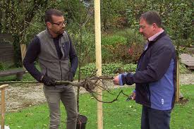 Selbst auf terrassen oder balkonen ist dies möglich. Ideale Zeit Zum Obstbaum Pflanzen Orf Salzburg Fernsehen