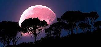 El plenilunio o luna llena es una fase lunar que sucede cuando nuestro planeta se encuentra situado exactamente entre el sol y la luna. Superluna Rosa En Que Paises Se Vera El Fenomeno Astronomico De Abril