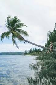 Un Week End Sur L Ilot Casy En 2020 Visite Guidee Snorkeling Archipel