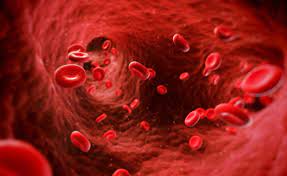 Il sangue non viene emesso subito dopo che è avvenuta l'emorragia ma ha il tempo di essere parzialmente digerito e pertanto viene emesso con vomito nerastro o rosso molto scuro informazione libera e indipendente perché esce sangue dalla bocca. Vomito Di Sangue Perche E Importante Capirne Immediatamente Le Cause Pazienti It